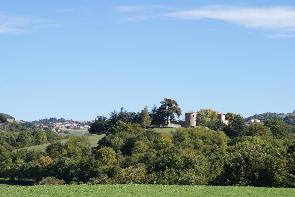 Chateau Du Besset Saint-Romain-de-Lerps Exteriér fotografie