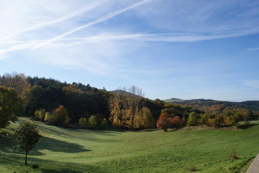 Chateau Du Besset Saint-Romain-de-Lerps Exteriér fotografie